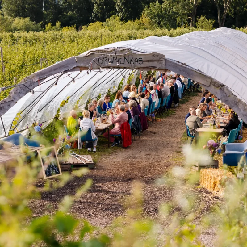 2024 Diner druivenkas bruiloft Ties en Lisa