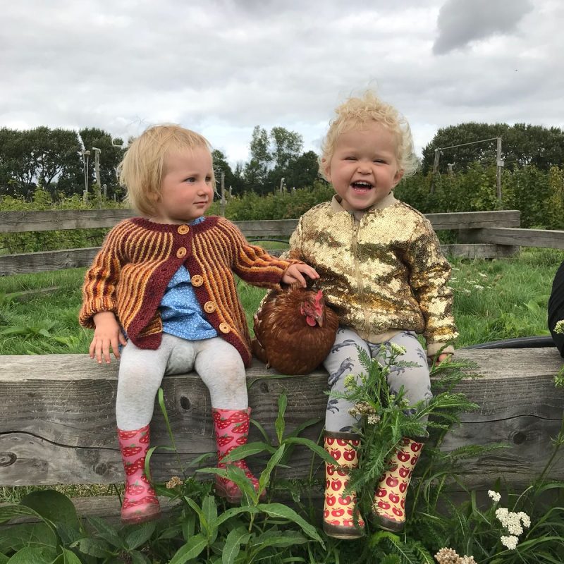 Elsa Lola kip boomgaard