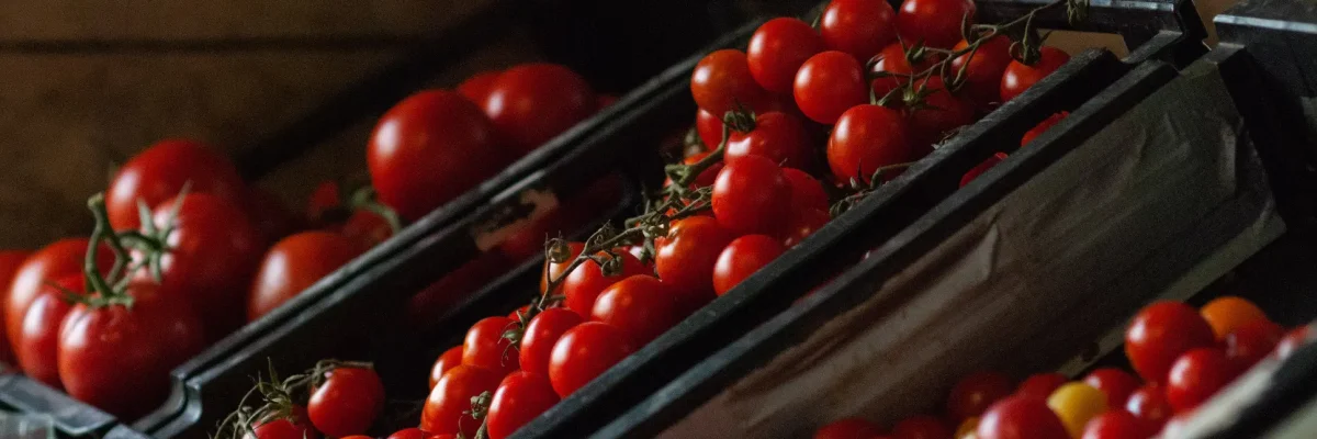 Tomaten winkel