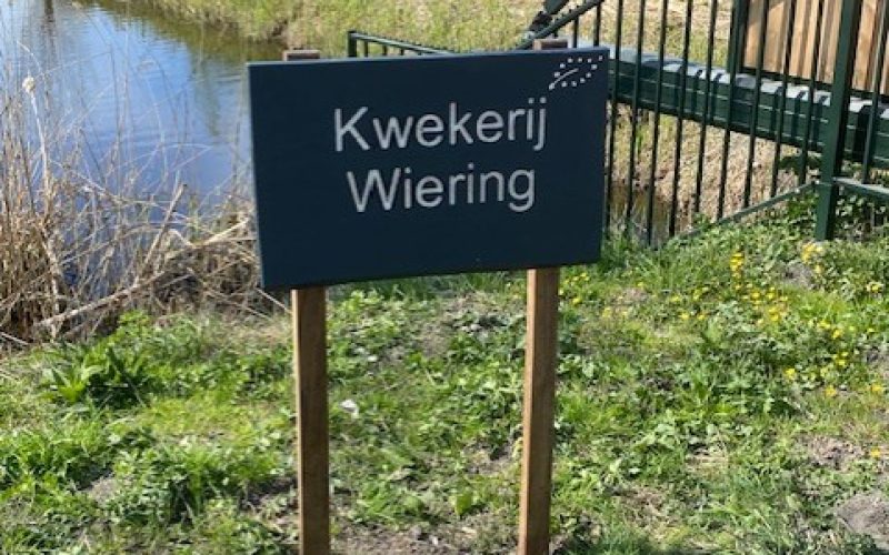 kwekerij wiering